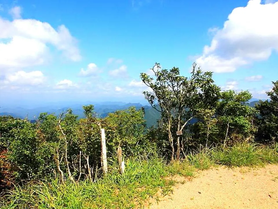 法師山山頂