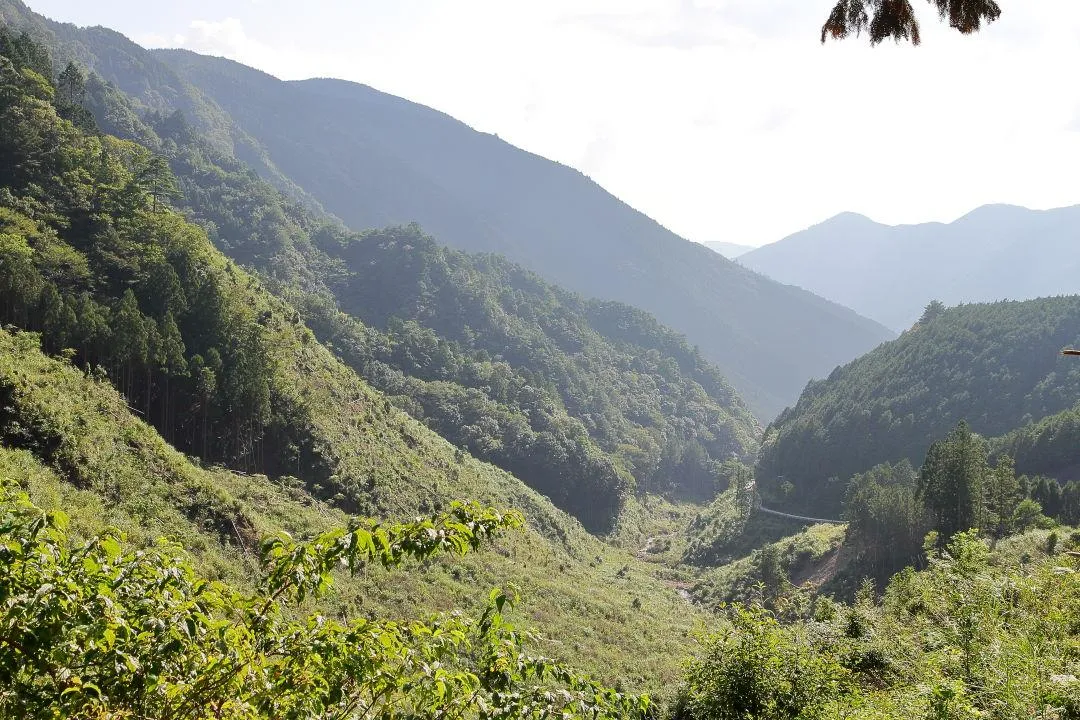 熊野川