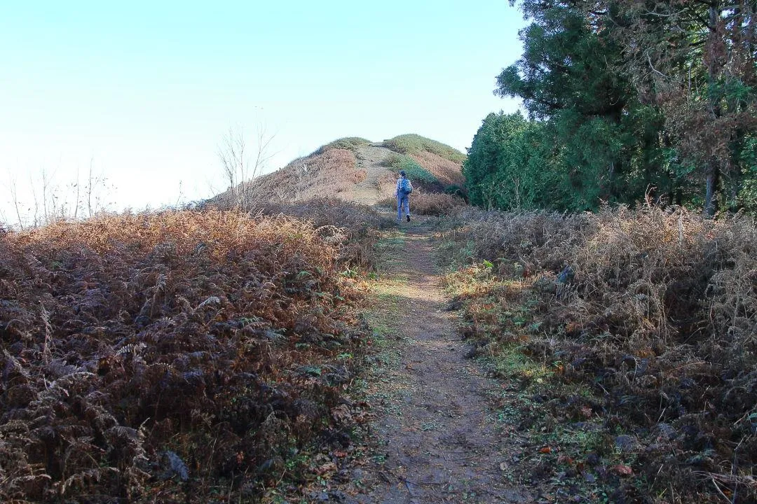 東床尾山