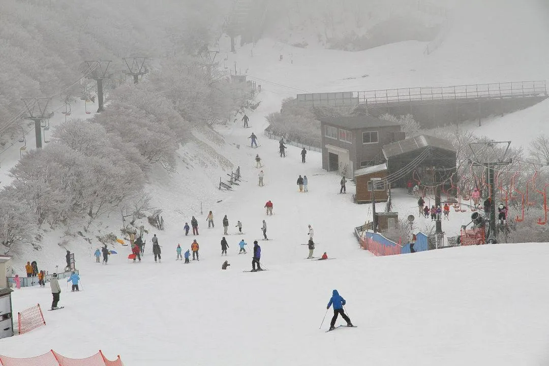 山上の霧氷