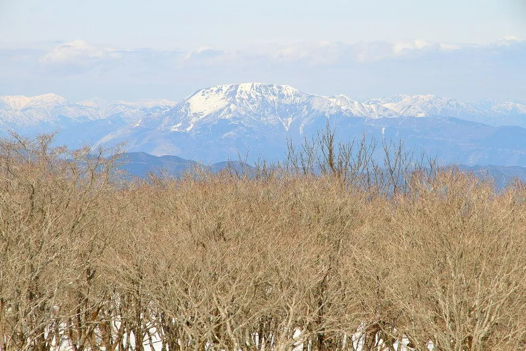 伊吹山