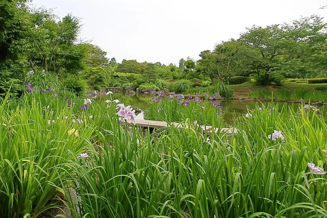 しあわせの村日本庭園