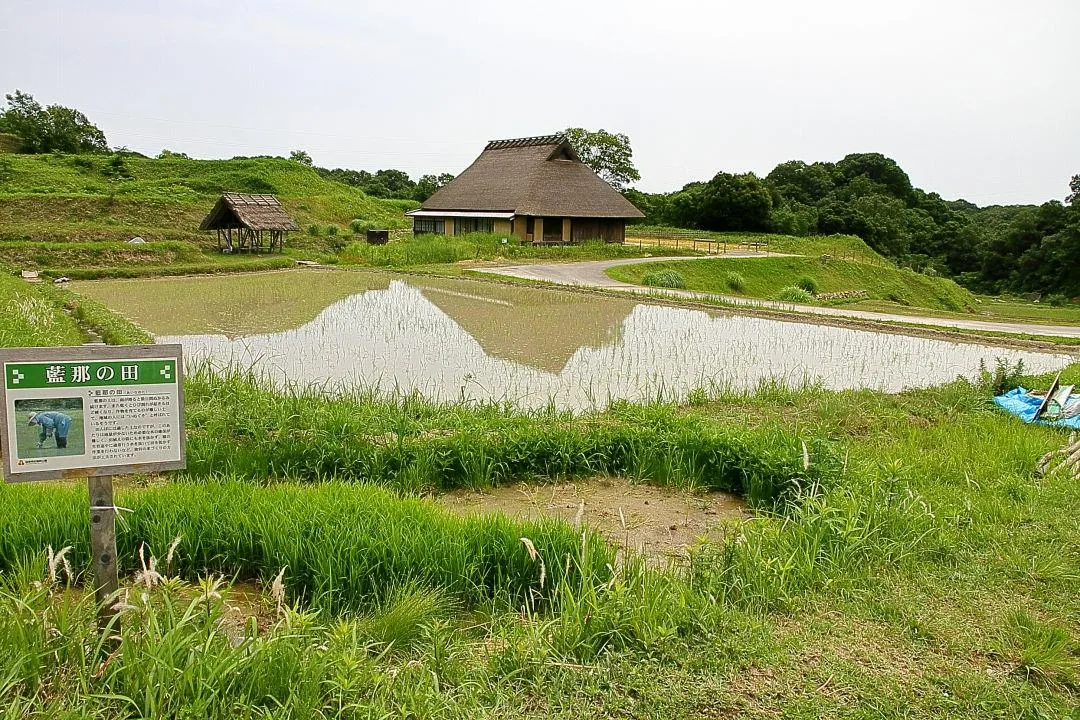 国営明石海峡公園神戸地区