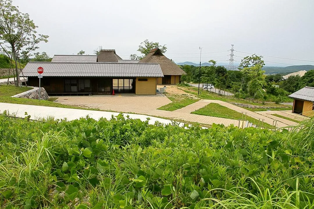 国営明石海峡公園神戸地区