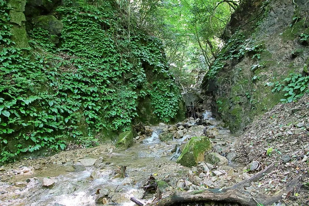 百間滝からの谷道