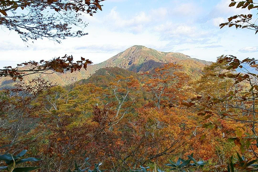 赤兎山登山道から大長山