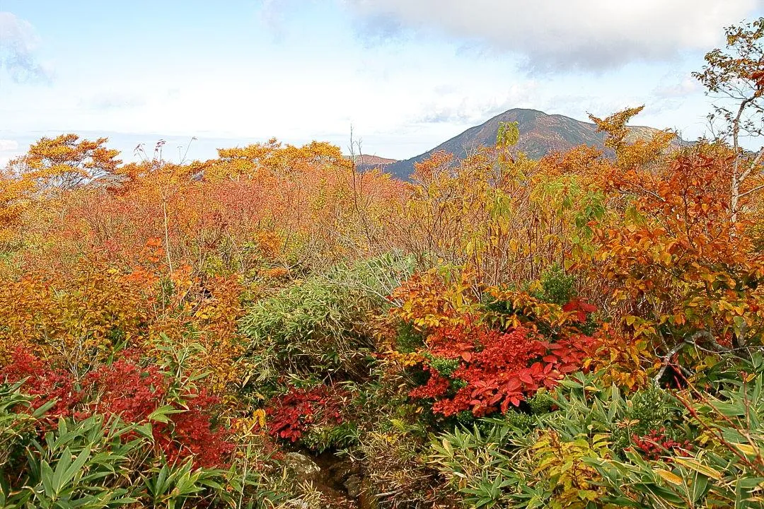 赤兎山登山道から大長山