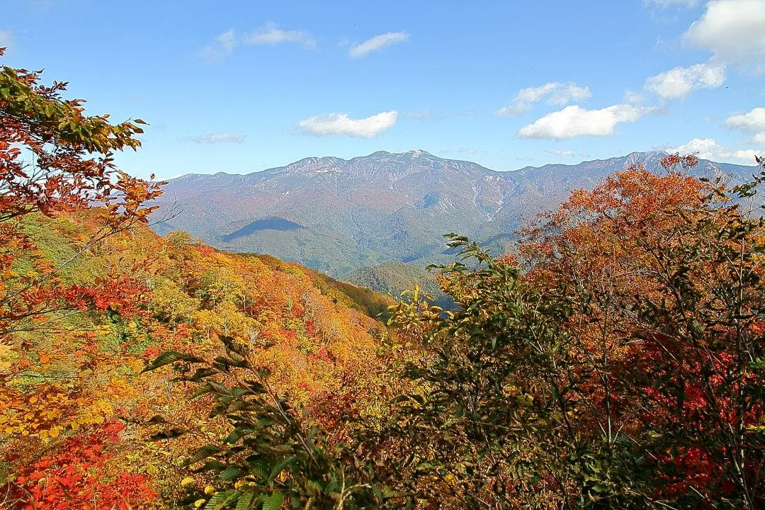 大長山登山道から白山