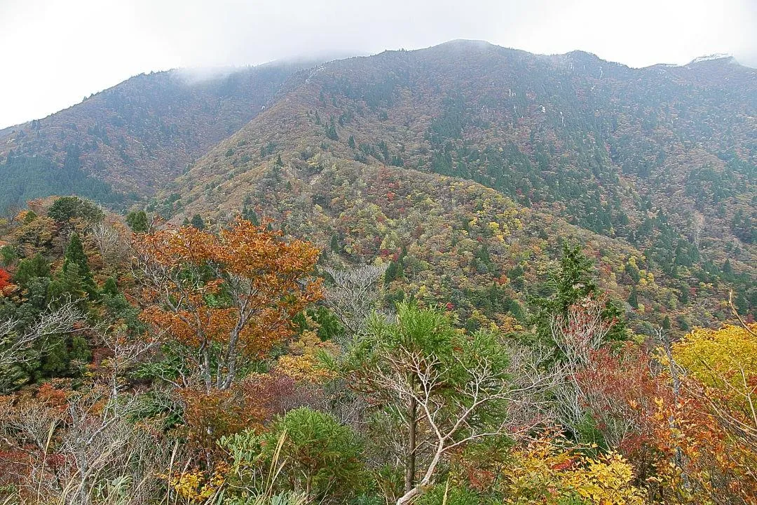 武平峠上から御在所岳