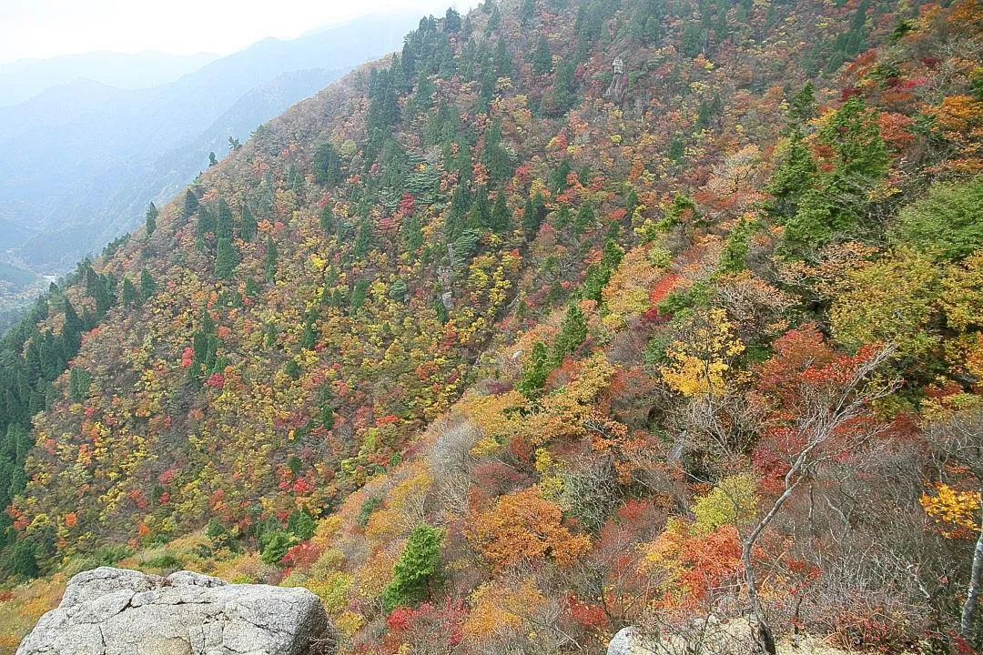 峠谷中腹の紅葉