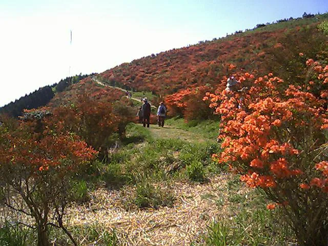 葛城山