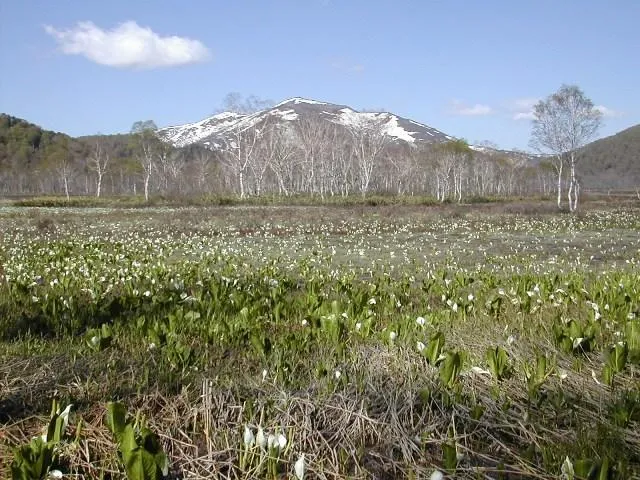 尾瀬ヶ原