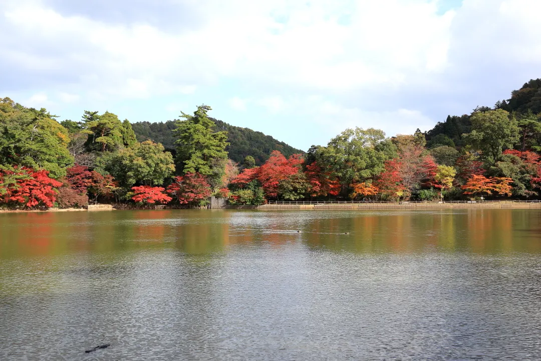修法ヶ原池の紅葉