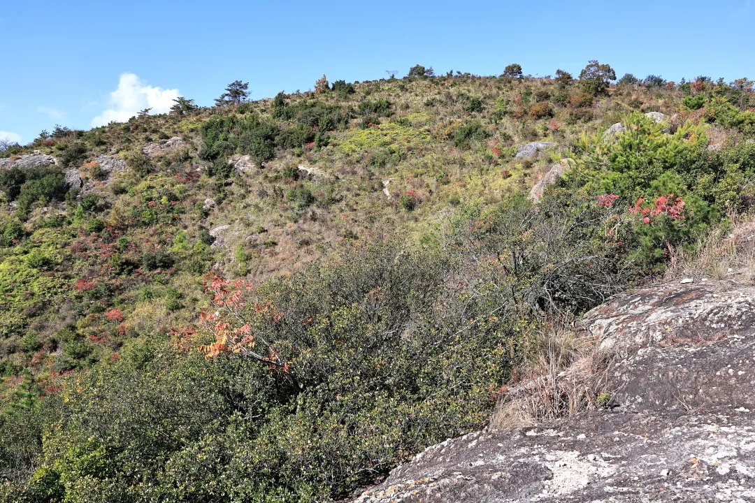 山の中腹から山頂の景観