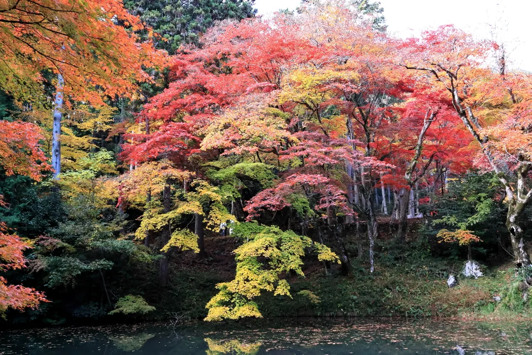 洞光寺の紅葉