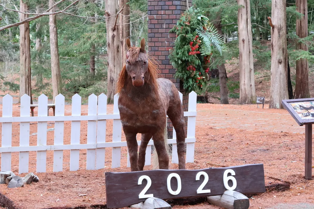 森林植物園干支飾り