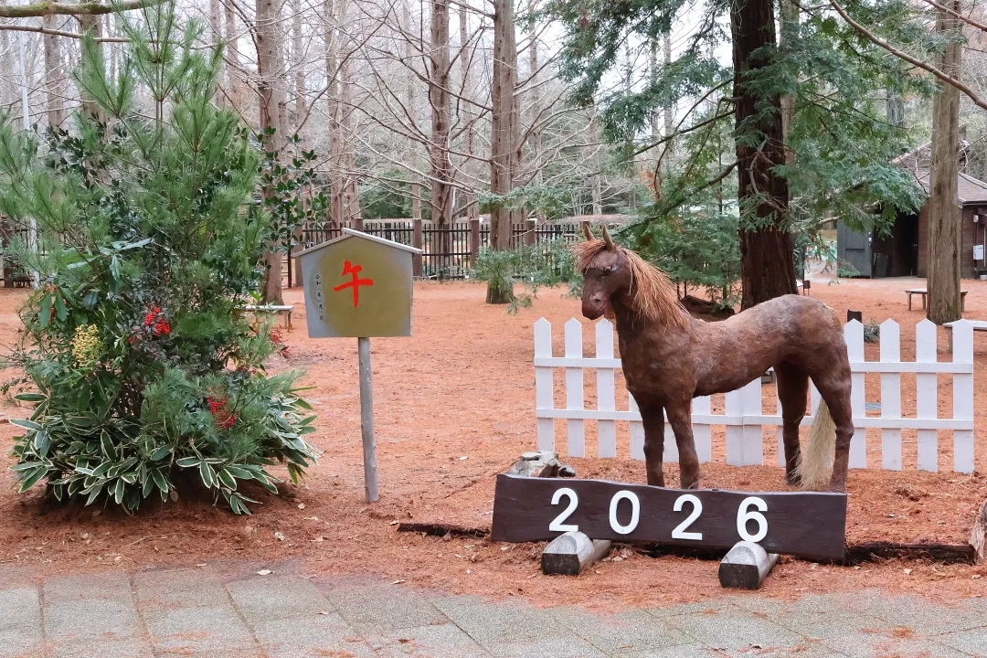 森林植物園干支飾り