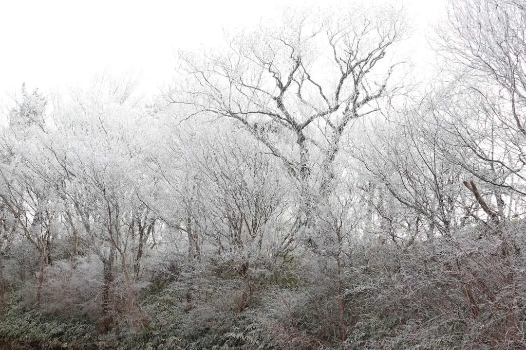 薄っすら白くなった六甲山