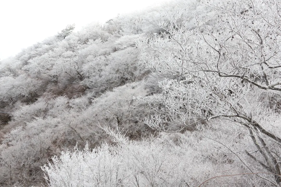 薄っすら白くなった六甲山