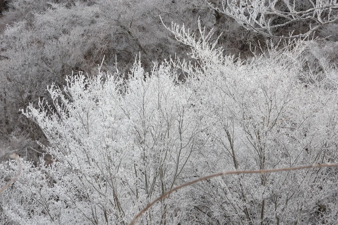 薄っすら白くなった六甲山