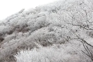 薄っすら白くなった六甲山