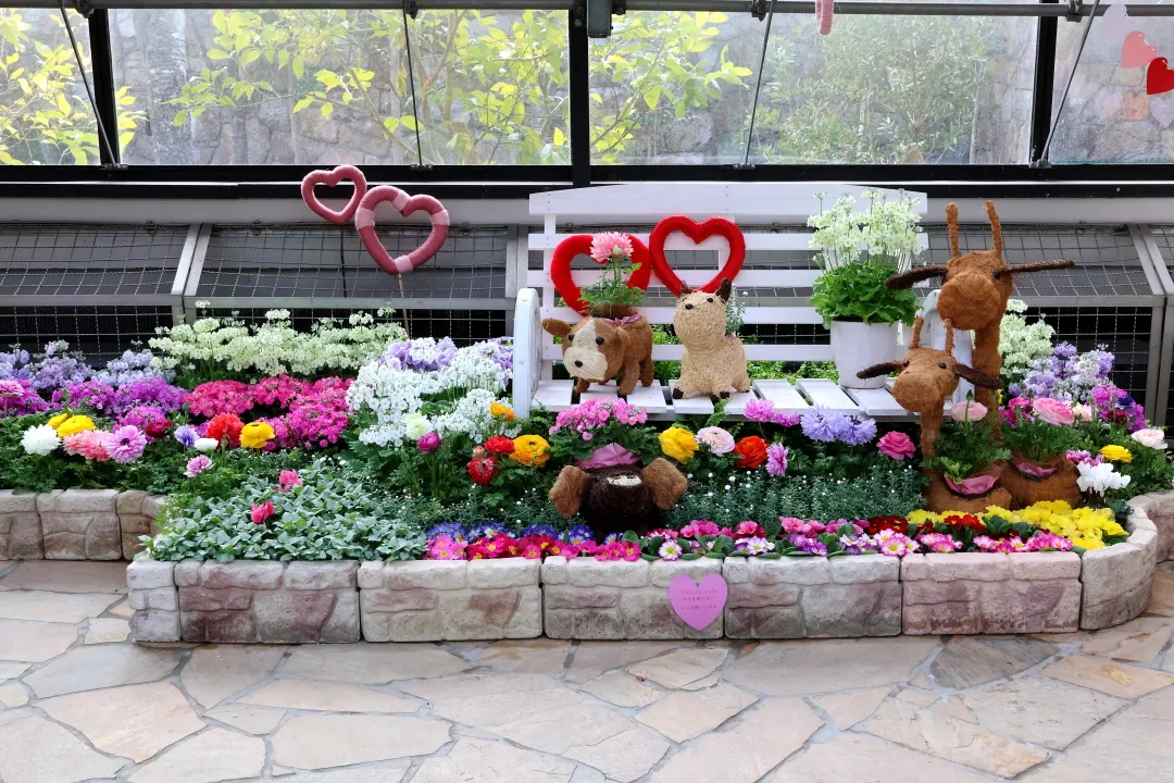 須磨離宮公園鑑賞温室