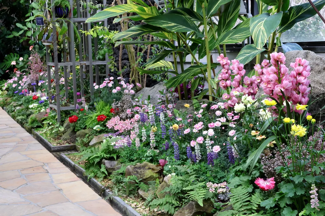 須磨離宮公園鑑賞温室