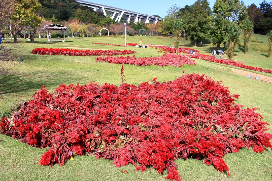 明石海峡公園