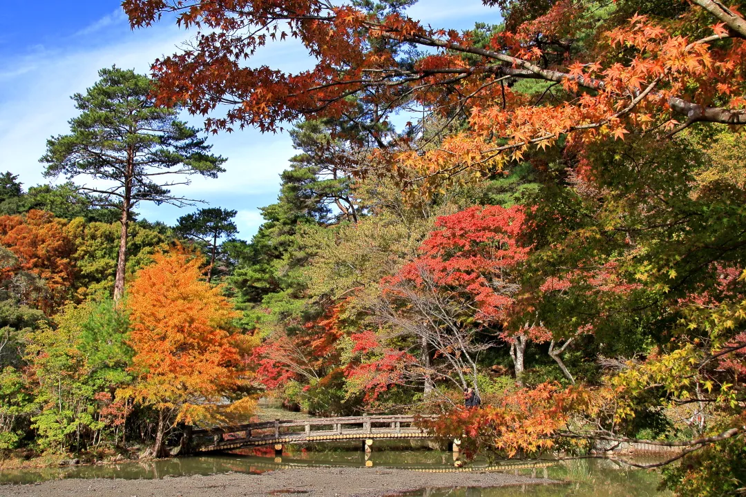 長谷池周り