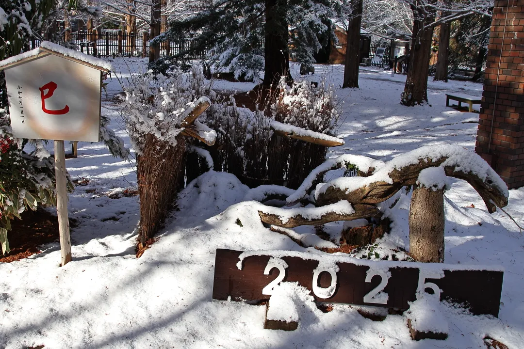 雪を纏った干支飾り