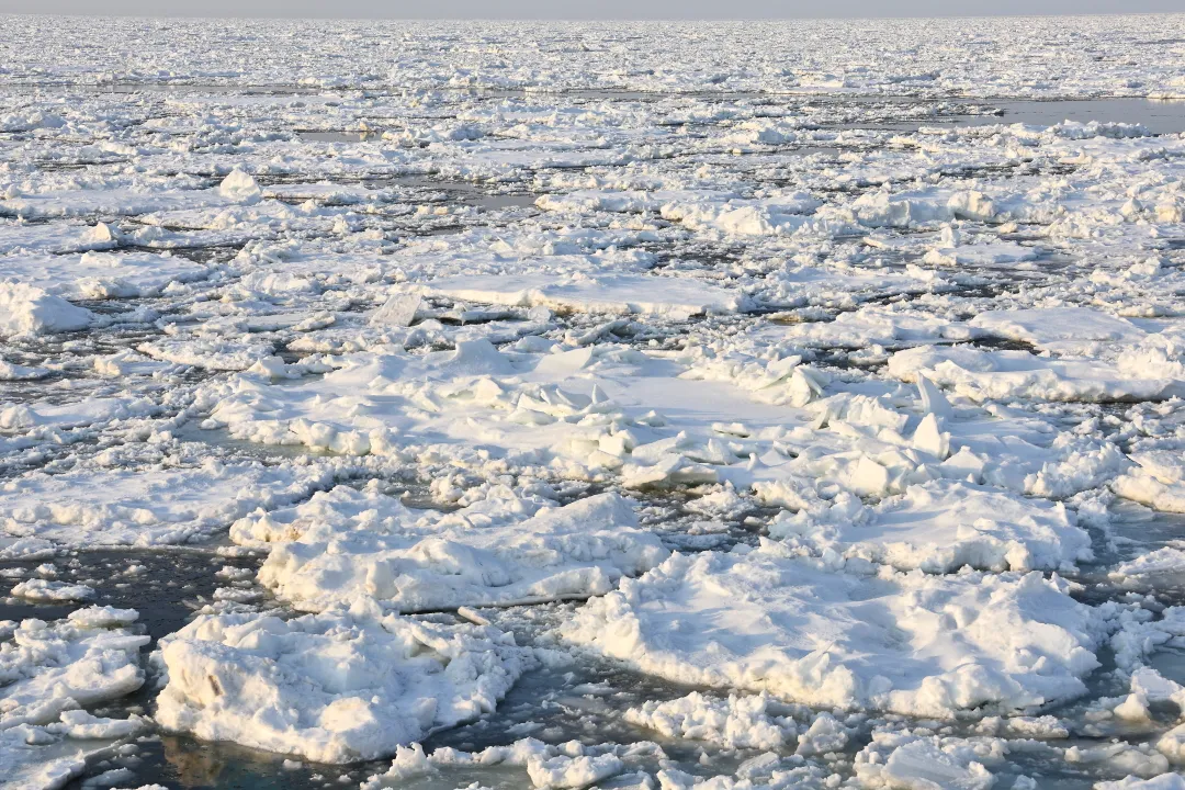 網走流氷クルーズ