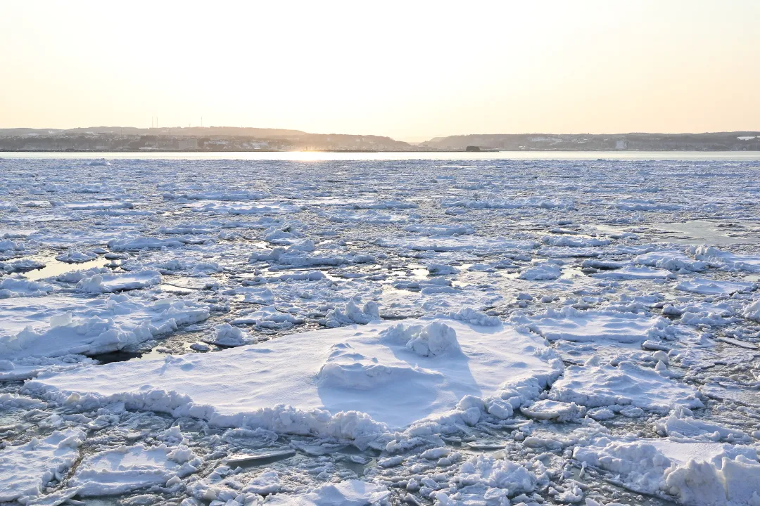 網走流氷クルーズ