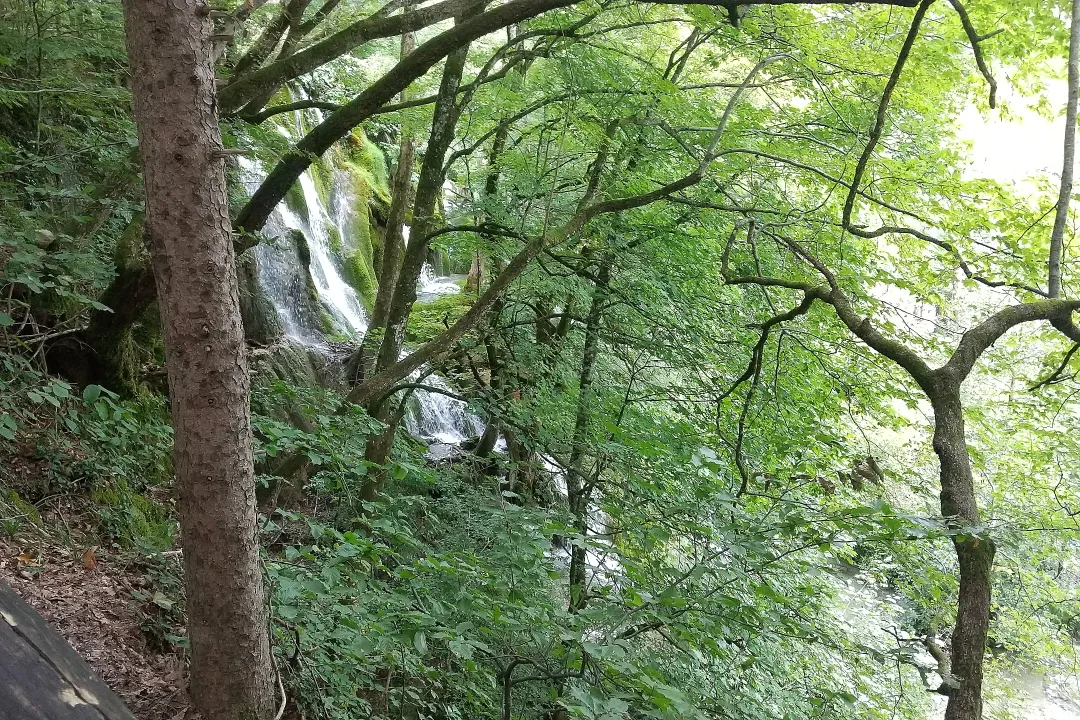 滝沿いの遊歩道から