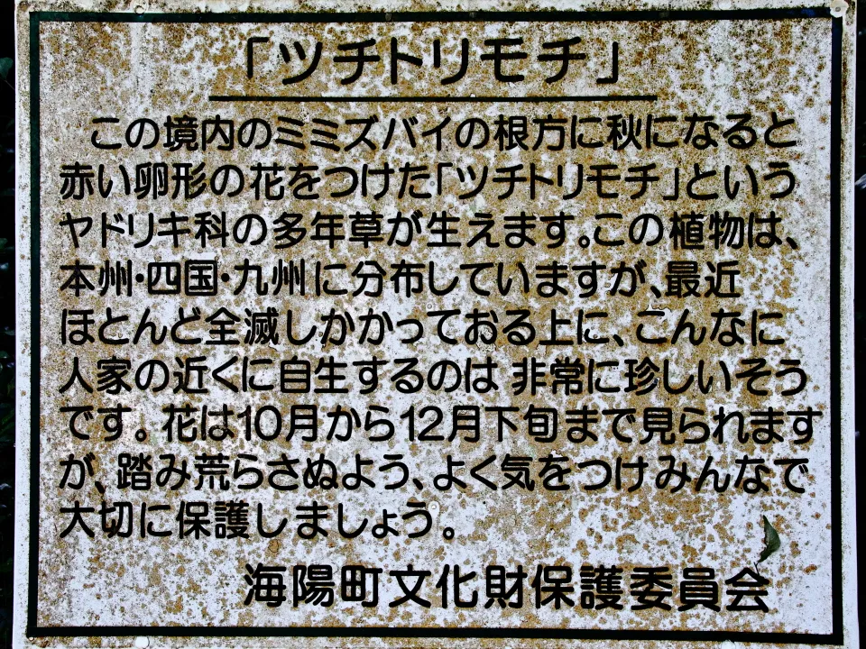 神社の境内に掲示してある看板