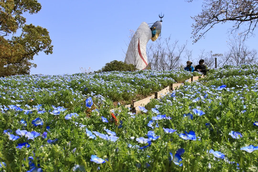 万博記念公園