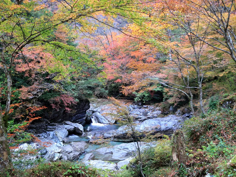 瀬戸川渓谷の紅葉