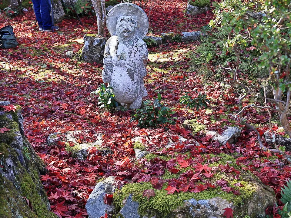 苔生す庭石に紅葉の落葉