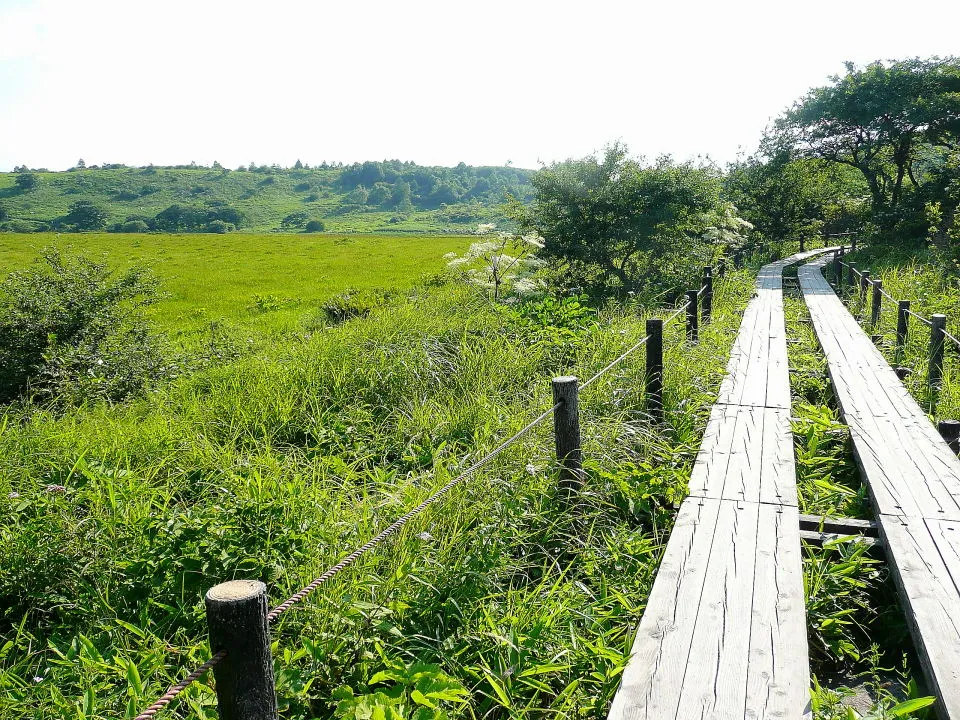 島ヶ原湿原