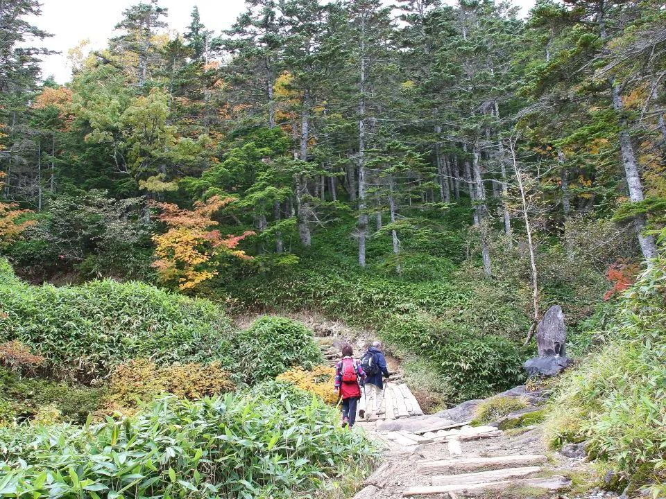 黒沢口登山道