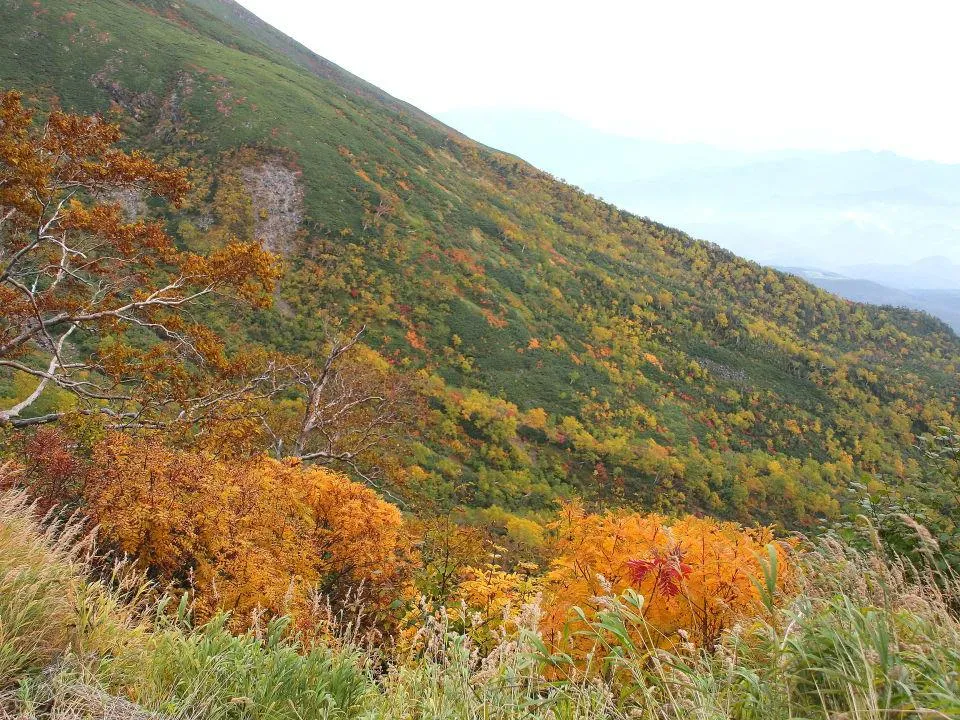 山腹の紅葉