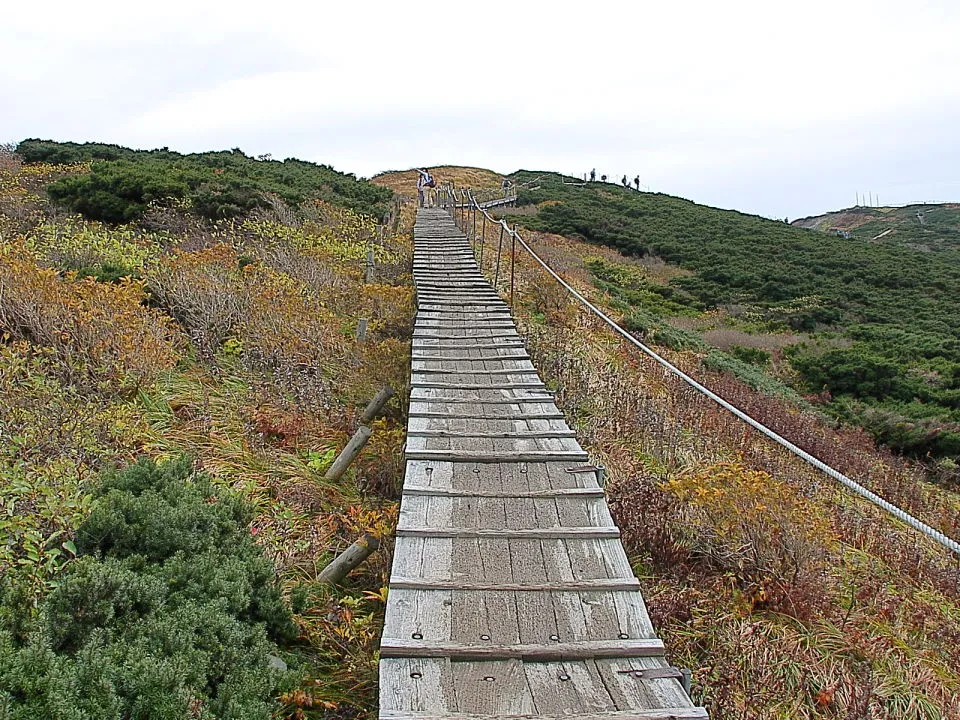 木道が山頂まで整備されている