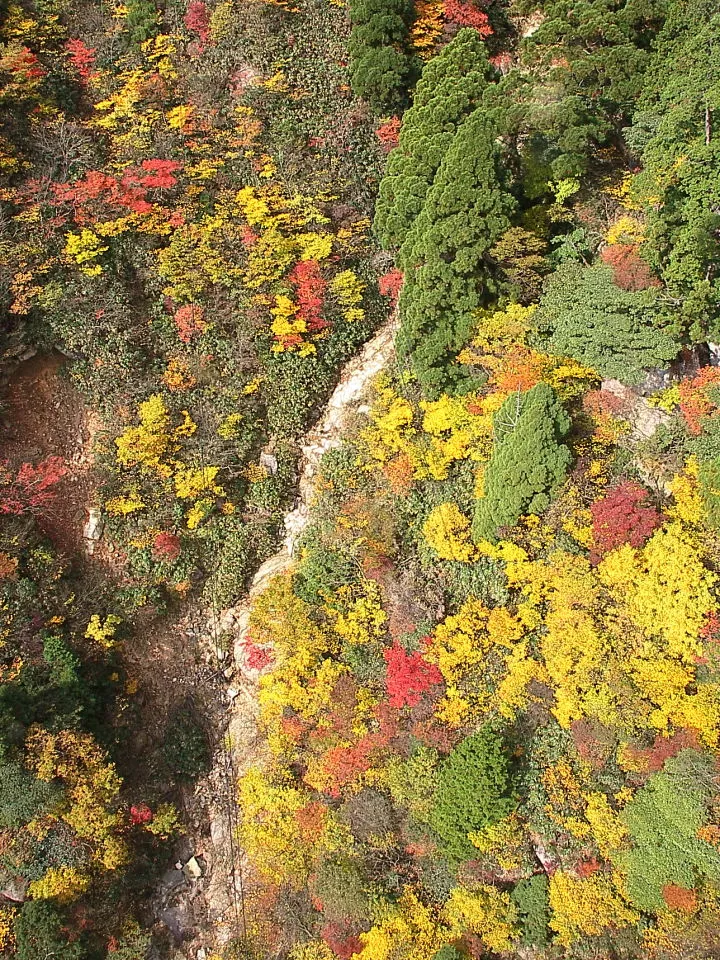 眼下に彩豊かな紅葉