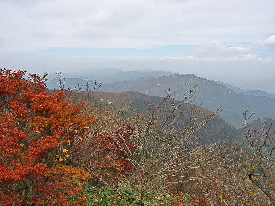 突き出た岩場からの眺め