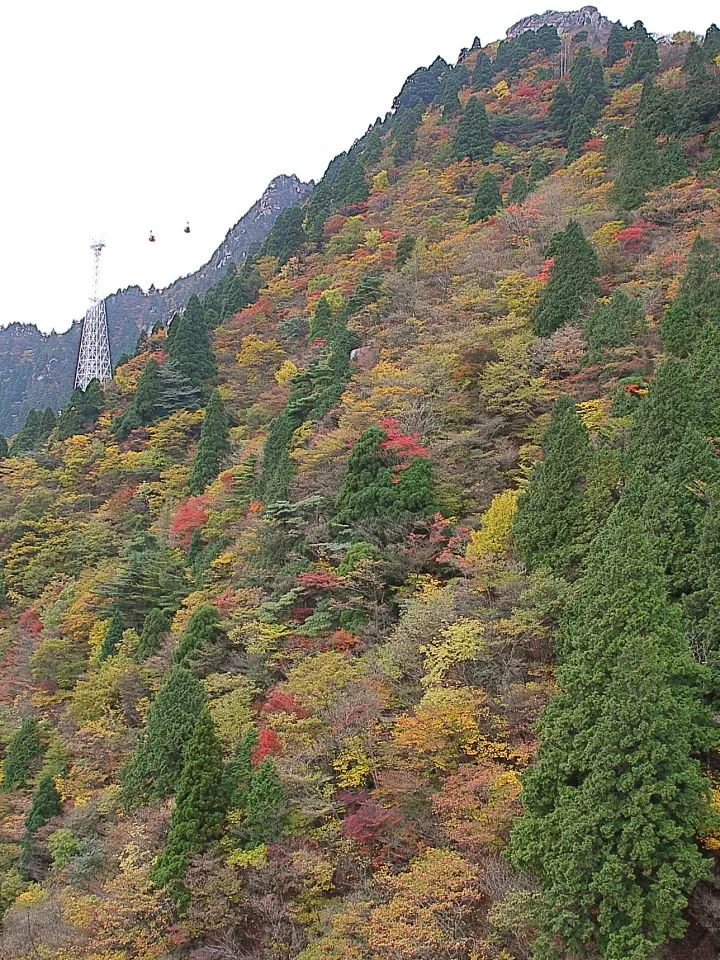 岩上部から山頂方向