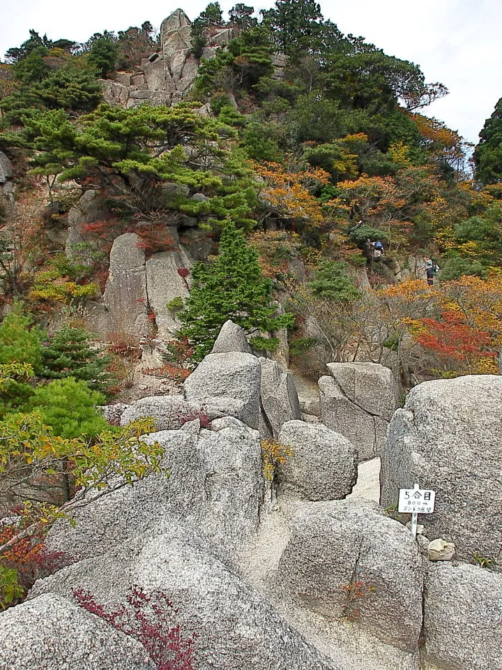 登山道、５合目