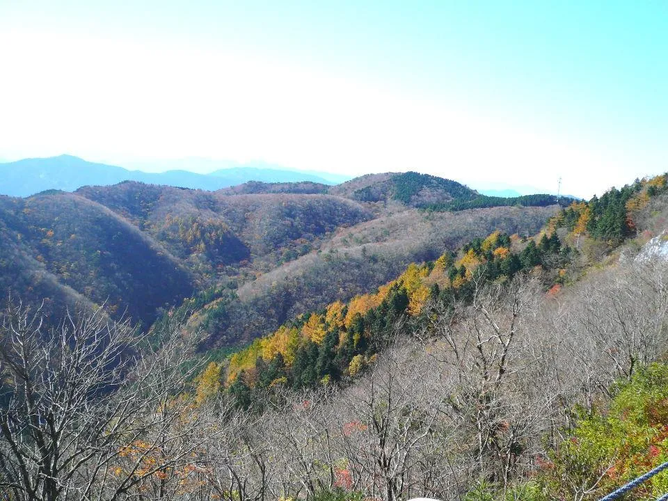 山上付近はほぼ落葉