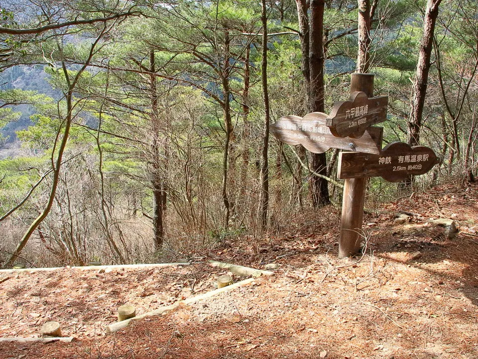 炭屋道分岐