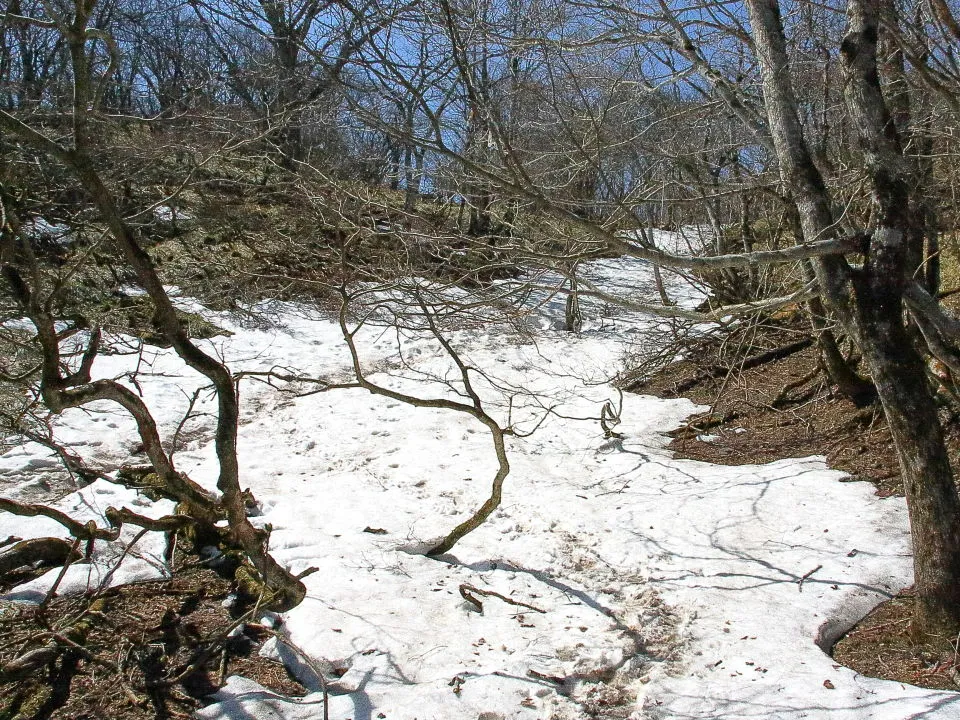 山頂付近の残雪