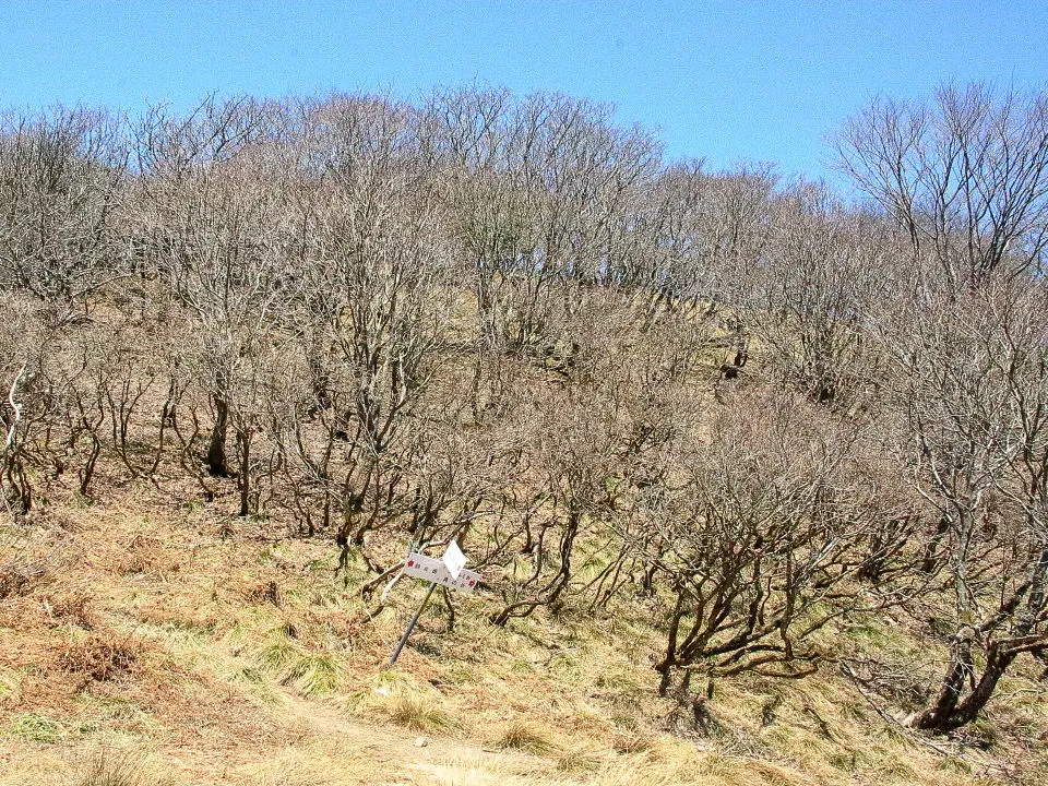 鈴北岳へ