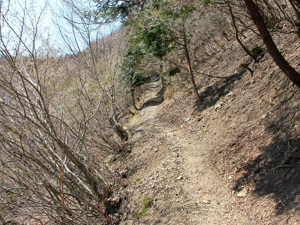 滑りやすい登山道